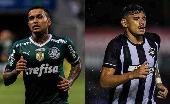 Dudu e Tiquinho, destaques de Palmeiras e Botafogo em 2023