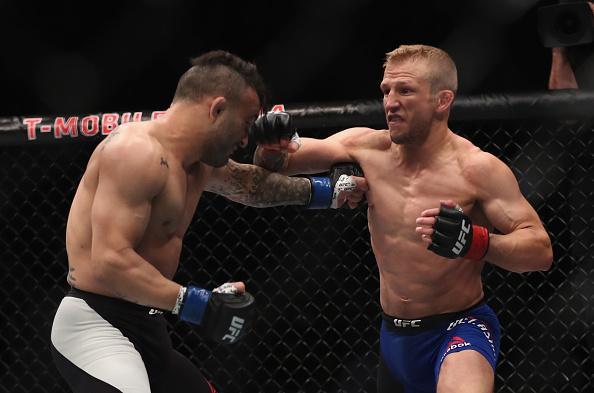 TJ Dillashaw (luvas vermelhas) venceu John Lineker por deciso unnime (triplo 30-26)