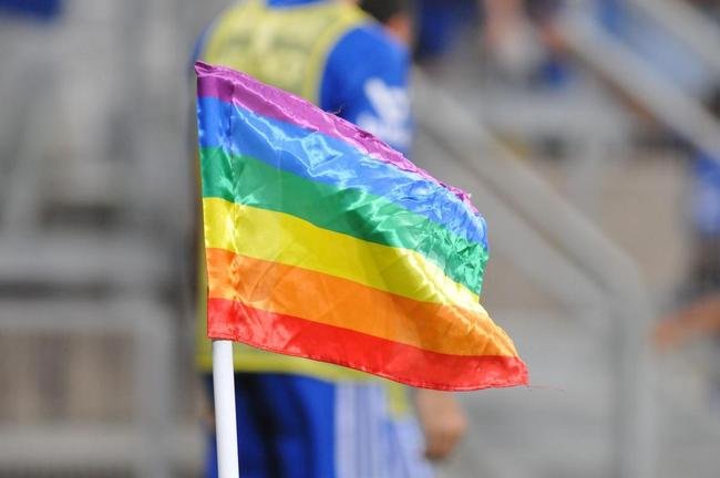 Fotos da partida entre Cruzeiro e Novorizontino, neste domingo (17), no Mineiro, em Belo Horizonte. Jogo  vlido pela 18 rodada da Srie B do Campeonato Brasileiro.