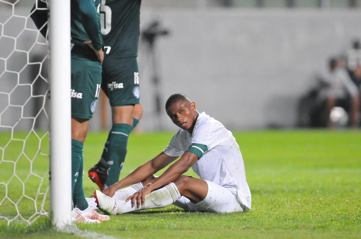 Fotos da partida entre Amrica e Palmeiras, nesta quinta-feira (21), no Independncia, em Belo Horizonte, vlida pela 18 rodada da Srie A do Brasileiro.