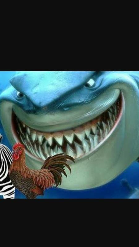 Cruzeirenses invadem internet para zoar atleticanos por vexame na Primeira Liga