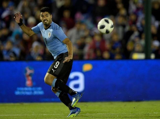 Fotos da vitria do Uruguai sobre o Uzbequisto, em Montevidu, em amistoso antes da Copa