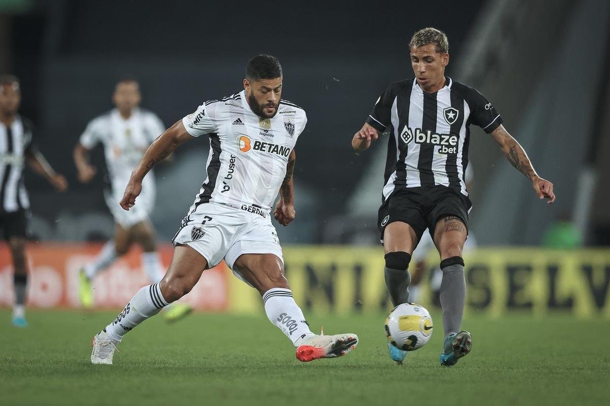 Botafogo x Atltico: veja fotos do jogo no Nilton Santos