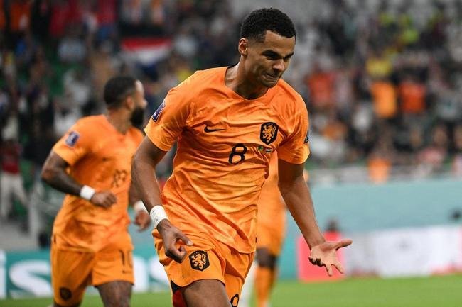 Primeiro gol da Holanda foi marcado por Cody Gakpo 