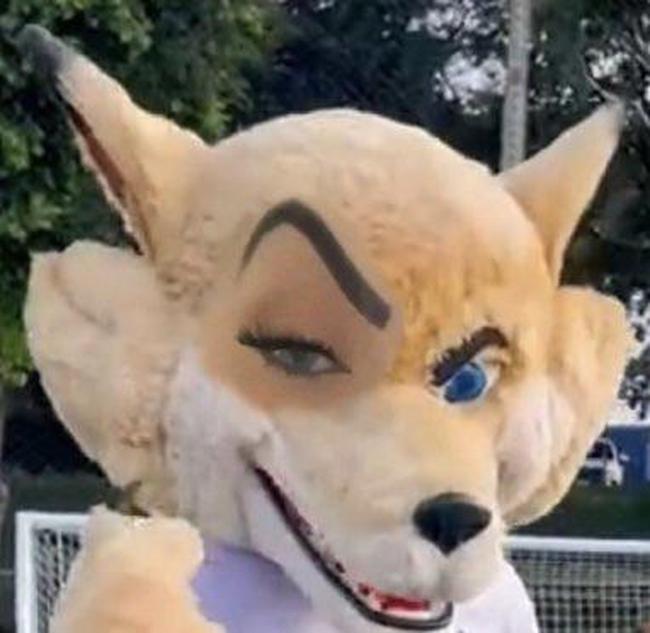 Mudana na identidade visual das mascotes Raposo e Raposinho geram brincadeiras nas redes sociais