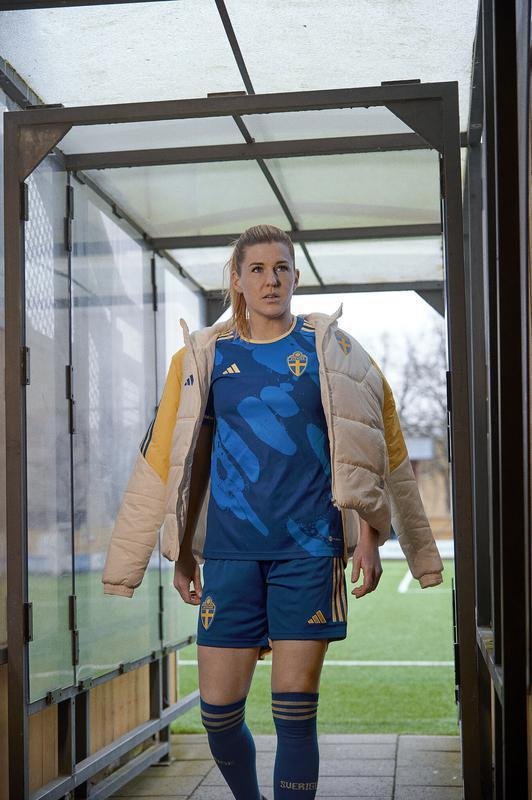 O design procura destacar a importncia das geleiras da nao