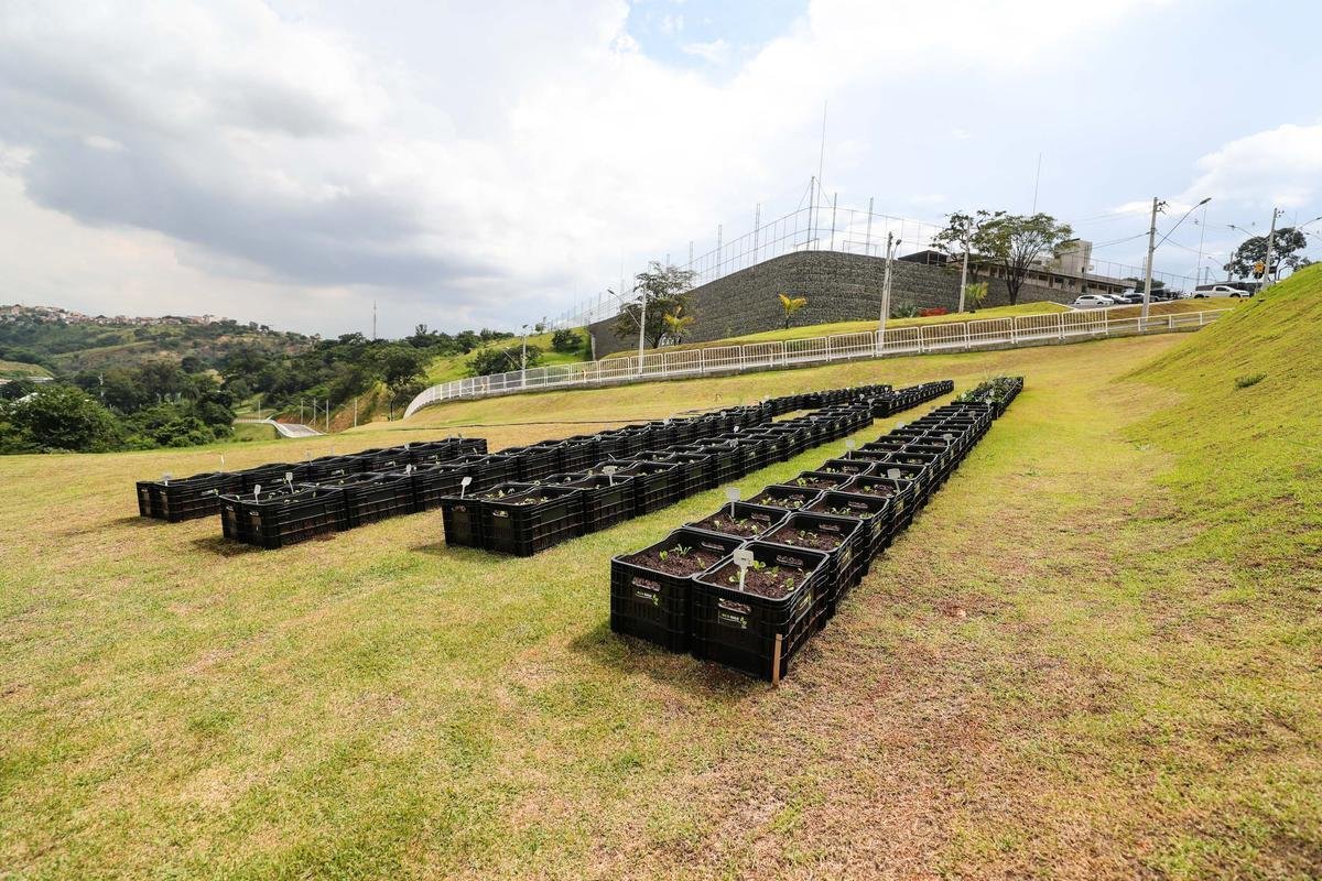 Atltico lanou, nesta quarta-feira, o projeto EcoGalo