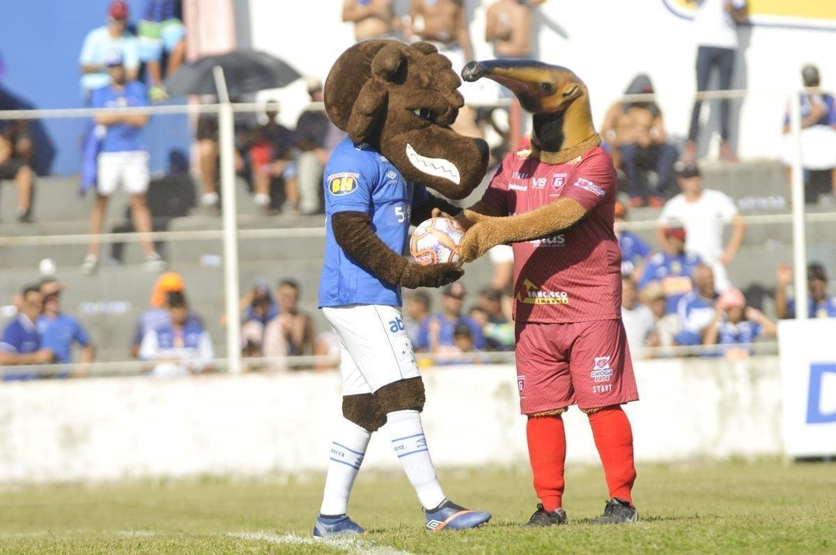 Tamandu, mascote do Guarani, e Raposo, mascote do Cruzeiro, no estdio Fario
