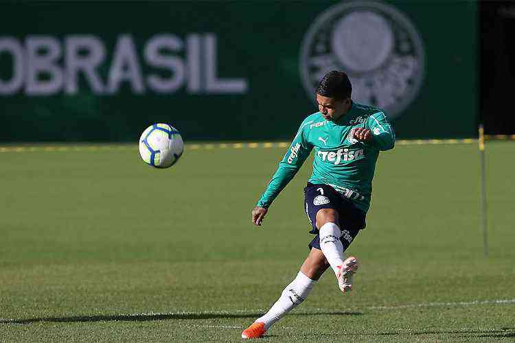 <i>(Foto: Sociedade Esportiva Palmeiras)</i>