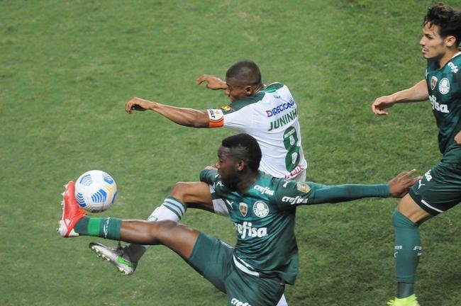Fotos do jogo entre Amrica e Palmeiras, no Independncia, em Belo Horizonte, pela 24 rodada do Campeonato Brasileiro