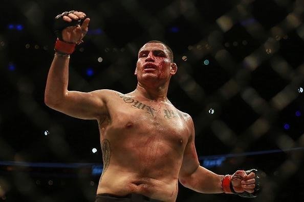 Fotos da vitória arrasadora de Fabrício Werdum sobre Cain Velasquez