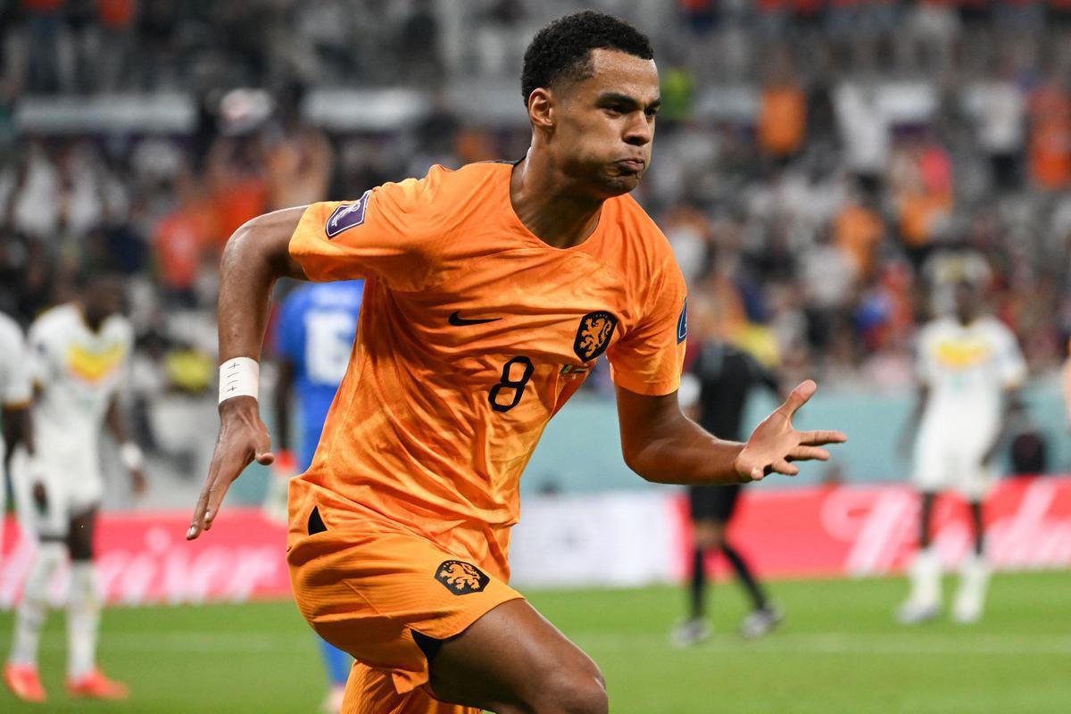 Primeiro gol da Holanda foi marcado por Cody Gakpo 