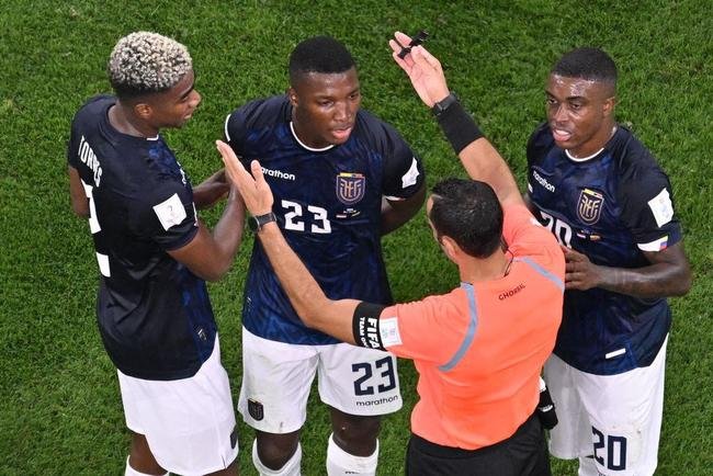 Imagens da partida entre Holanda e Equador, pelo Grupo A da Copa do Mundo de 2022.