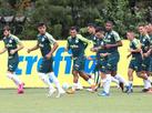 Palmeiras quer aproveitar jejum do Inter no Beira-Rio para vencer fora