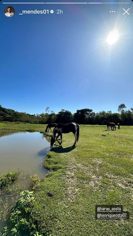 Faa um 'tour' pelo Instagram dos jogadores do Atltico durante a Data Fifa.