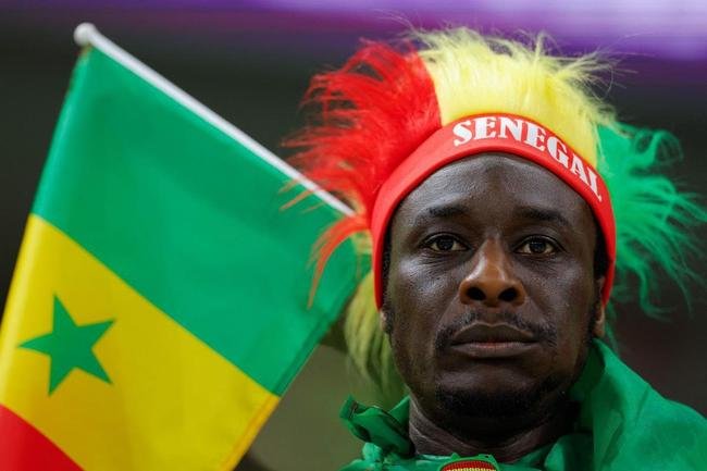 Fotos dos torcedores de Senegal e Holanda durante jogo pelo Grupo A da Copa do Mundo.