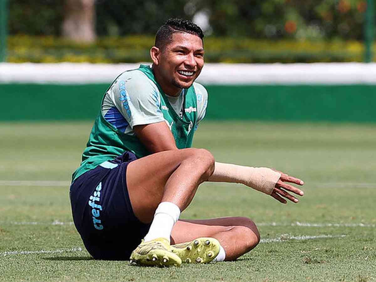 Palmeiras pode ter novidade e confia em jogadores 100% na Libertadores -  Superesportes