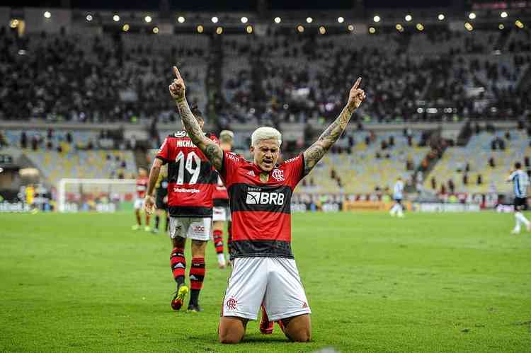 (Foto: Marcelo Cortes / Flamengo)
