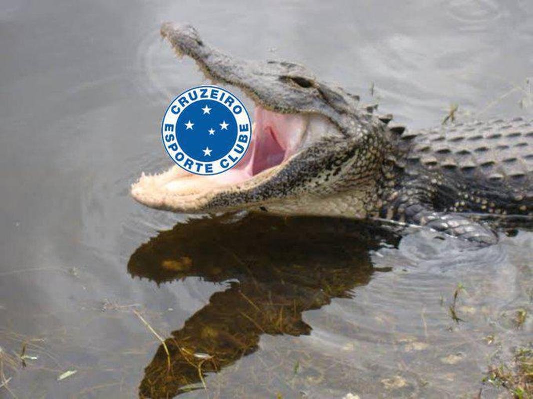 Derrota do Cruzeiro para o Bahia, por 2 a 0, na abertura da Srie B, gerou muitos memes nas redes sociais. Vitor Jacar marcou os dois gols do Tricolor