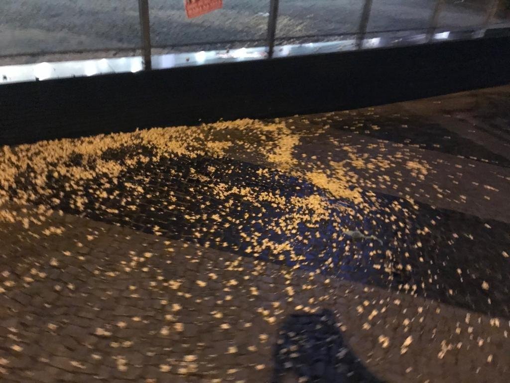 Imagens do protesto da torcida do Atltico na sede de Lourdes