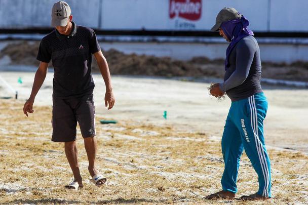 Enquanto aguarda a definição de quem será o treinador para iniciar montagem do elenco, Santa Cruz investe na reforma do gramado de seu estádio para receber as partidas da temporada 2020