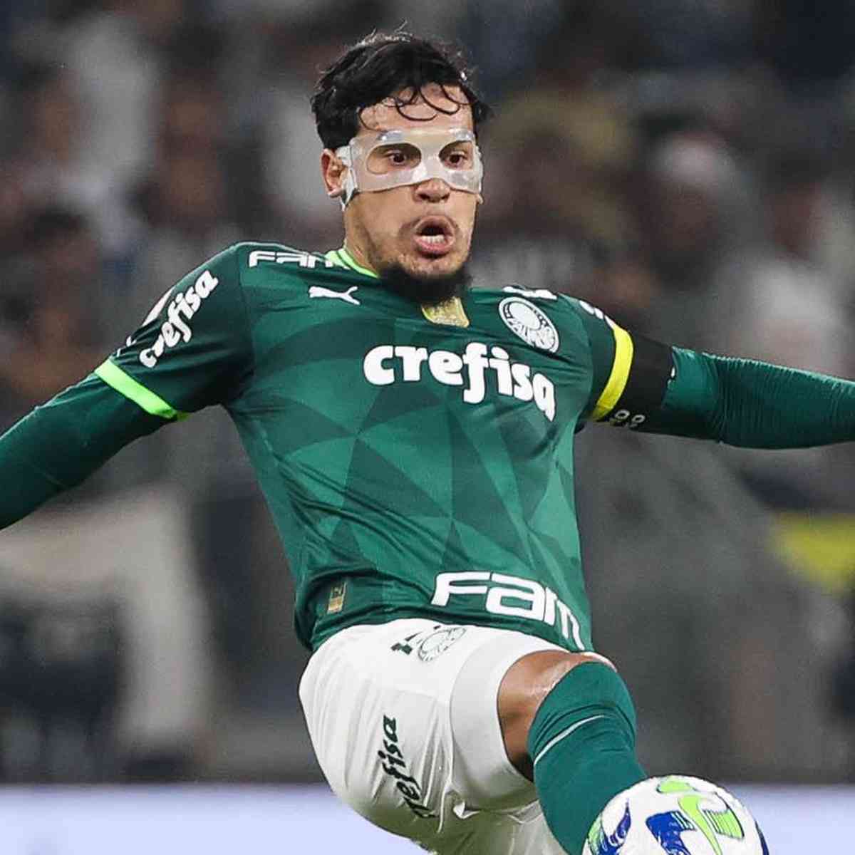 gustavo gomez  Jogadores palmeiras, Maior campeão do brasil, Brasileirao