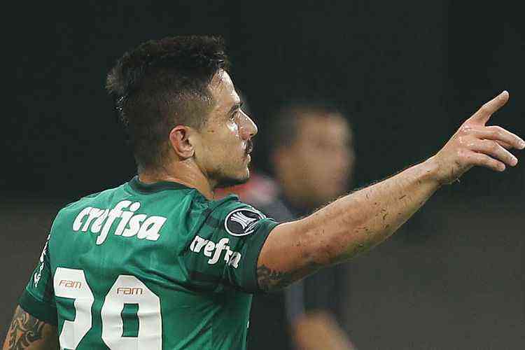  Cesar Greco/Ag Palmeiras/Divulgao