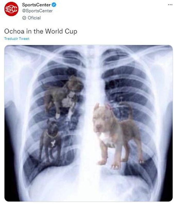 Memes de Ochoa aps a partida contra a Polnia