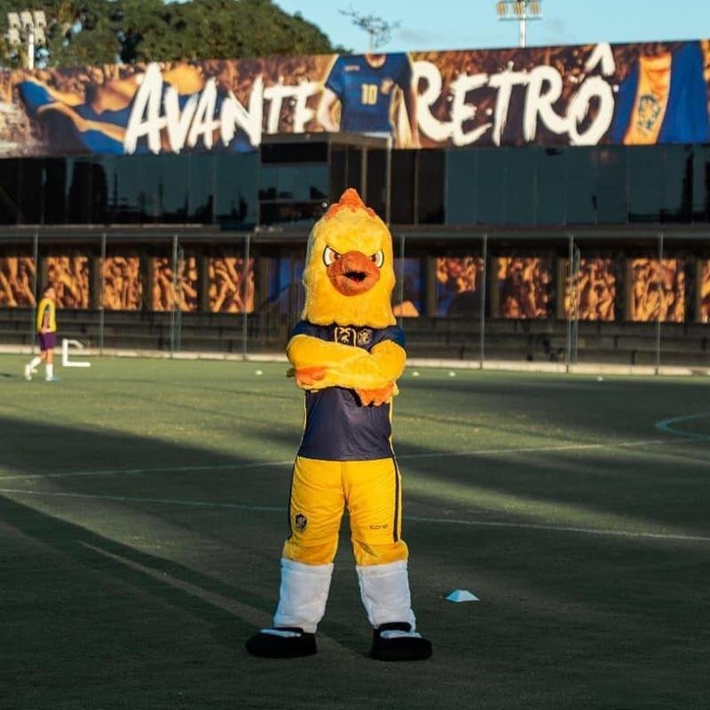 Comentário mais curtido na publicação do clube irá determinar o nome da ave, que agora é presença confirmada nos jogos do Retrô como mandante