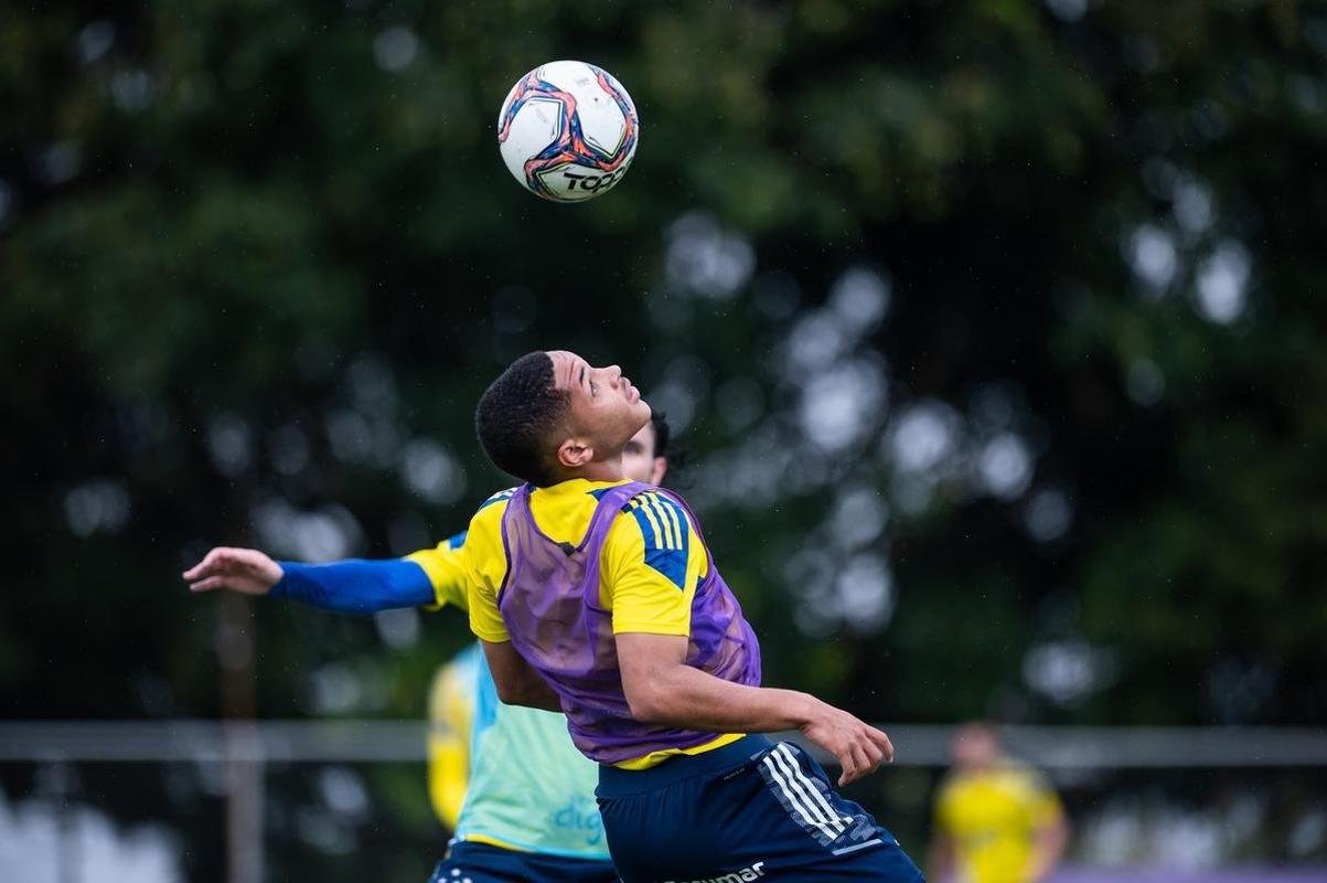 Jogadores do Cruzeiro treinaram na manh deste domingo na Toca da Raposa II