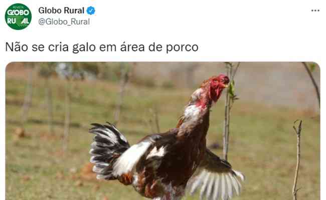 Globo Rural zoa eliminao do Atltico para o Palmeiras nas redes sociais