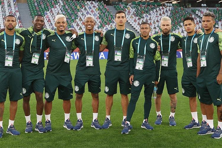 (Foto: Cesar Greco/Palmeiras )