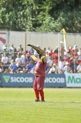Tamandu, mascote do Guarani, e Raposo, mascote do Cruzeiro, no estdio Fario