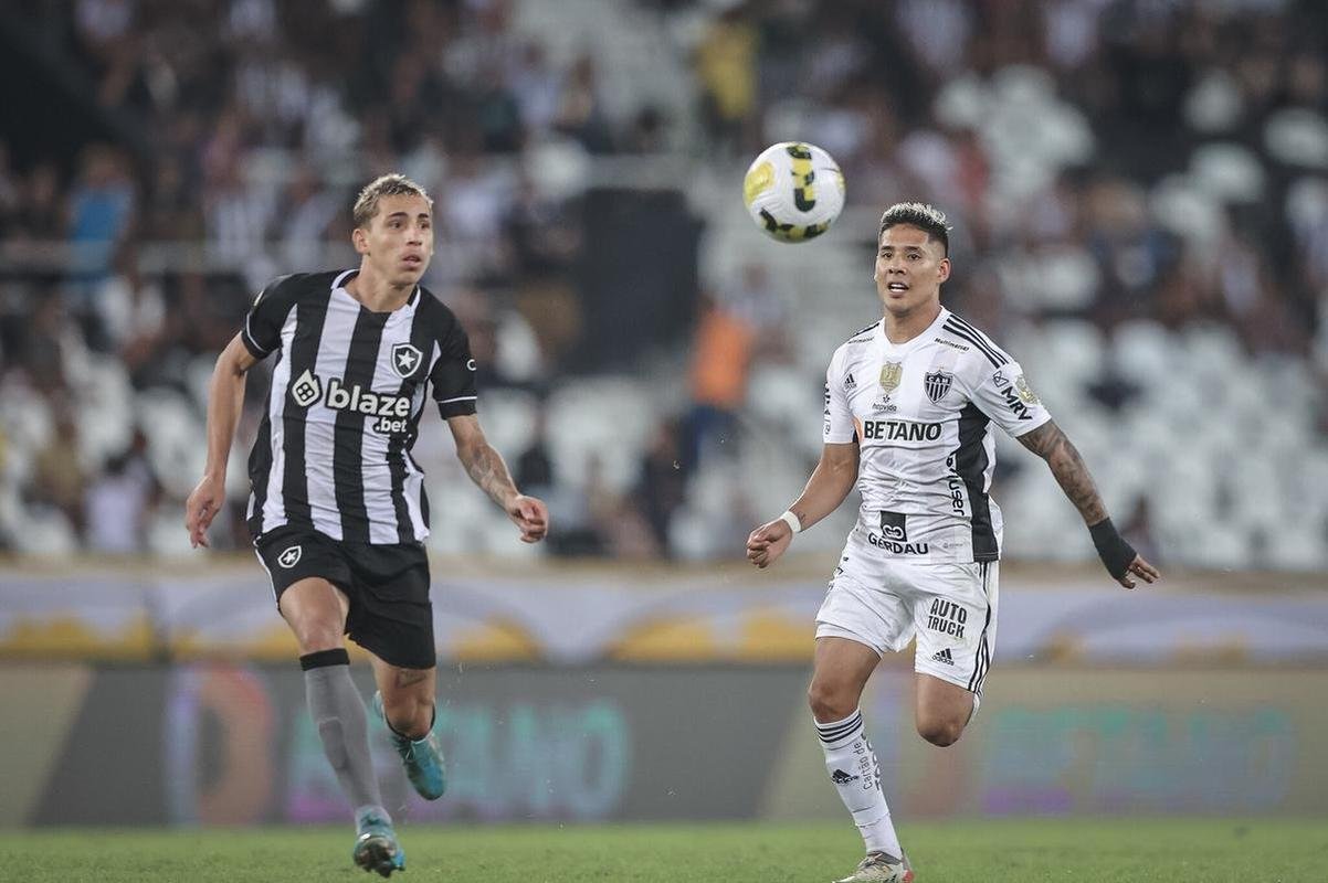 Botafogo x Atltico: veja fotos do jogo no Nilton Santos