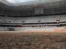 'T nascendo o tapete': Atltico divulga foto do gramado da Arena MRV