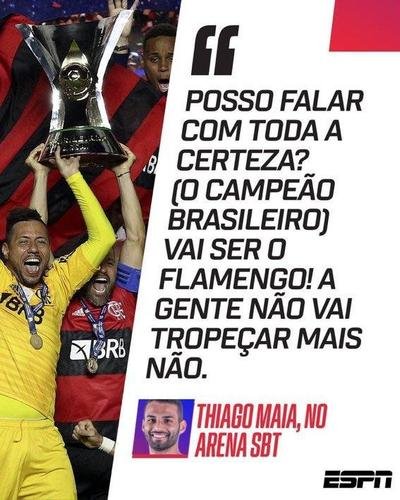 Flamengo foi vice-campeão brasileiro e ficou no 'cheirinho'