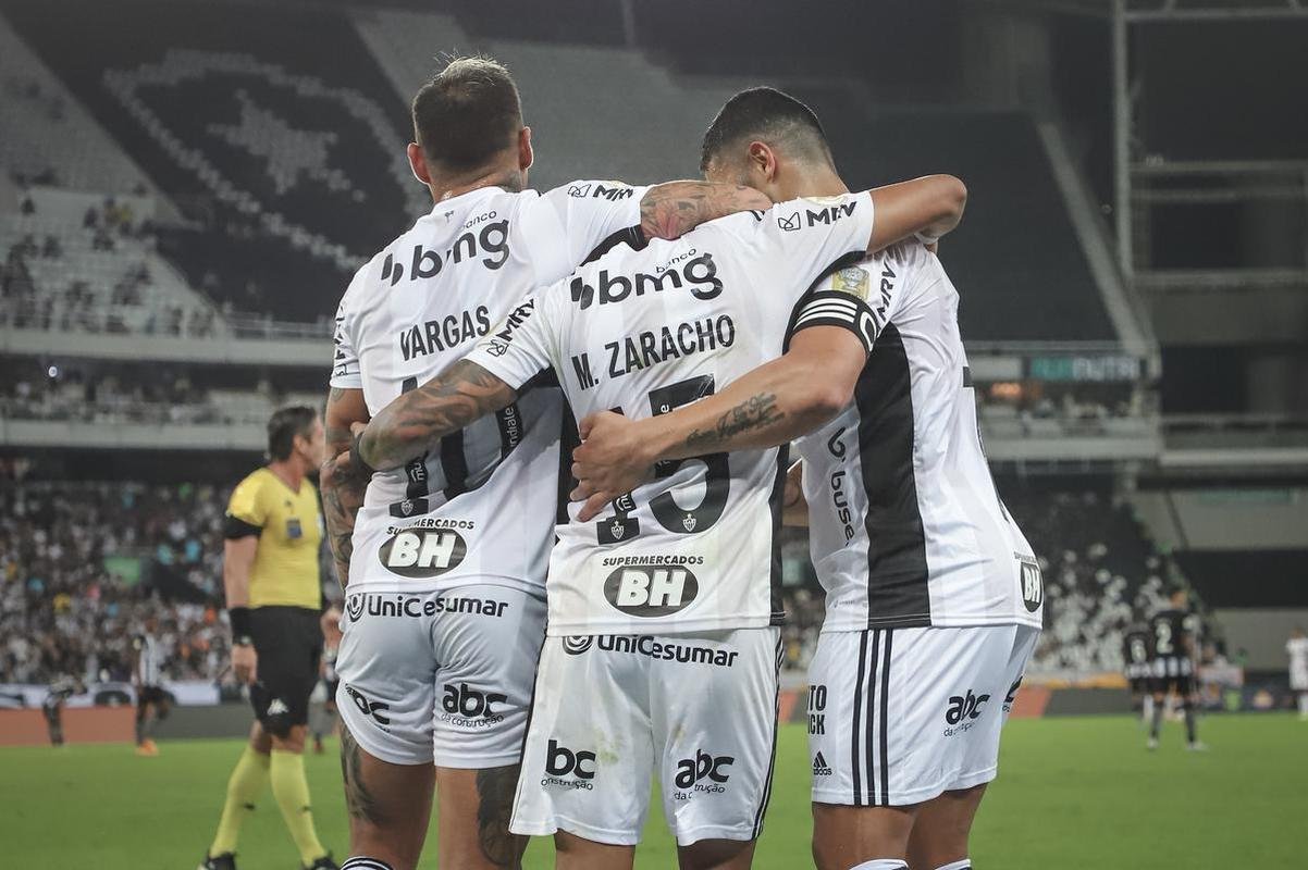 Botafogo x Atltico: veja fotos do jogo no Nilton Santos