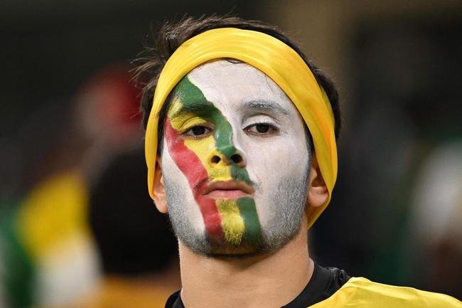 Fotos dos torcedores de Senegal e Holanda durante jogo pelo Grupo A da Copa do Mundo.