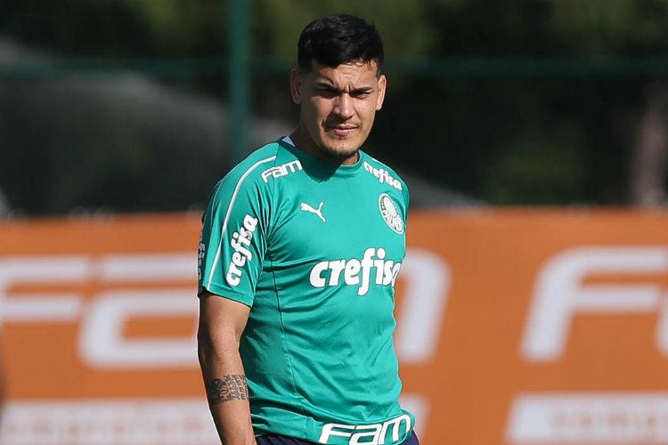 <i>(Foto: Divulgao/Palmeiras)</i>