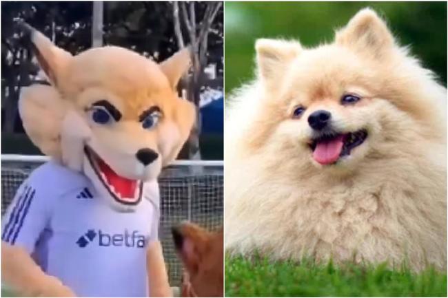 Mudana na identidade visual das mascotes Raposo e Raposinho geram brincadeiras nas redes sociais