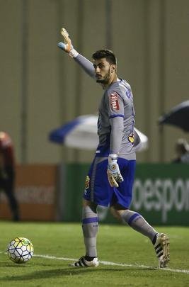 Fotos do empate sem gols entre Palmeiras e Cruzeiro, na Fonte Luminosa, pela 30 rodada do Brasileiro