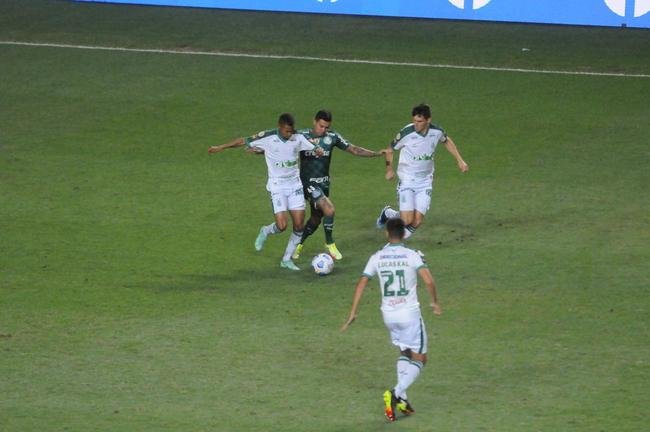 Fotos do jogo entre Amrica e Palmeiras, no Independncia, em Belo Horizonte, pela 24 rodada do Campeonato Brasileiro