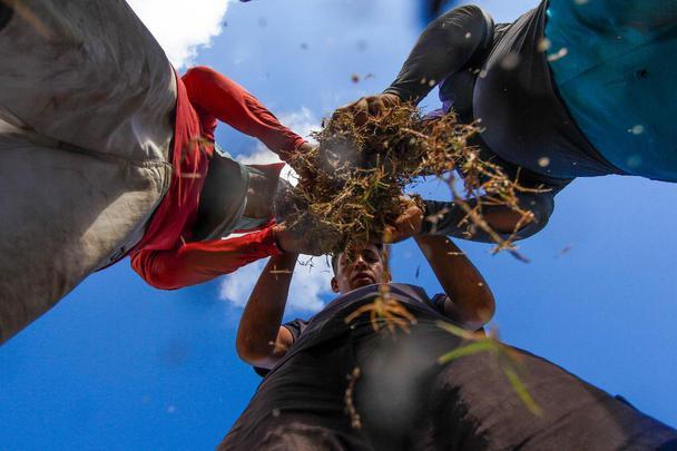 Enquanto aguarda a definição de quem será o treinador para iniciar montagem do elenco, Santa Cruz investe na reforma do gramado de seu estádio para receber as partidas da temporada 2020