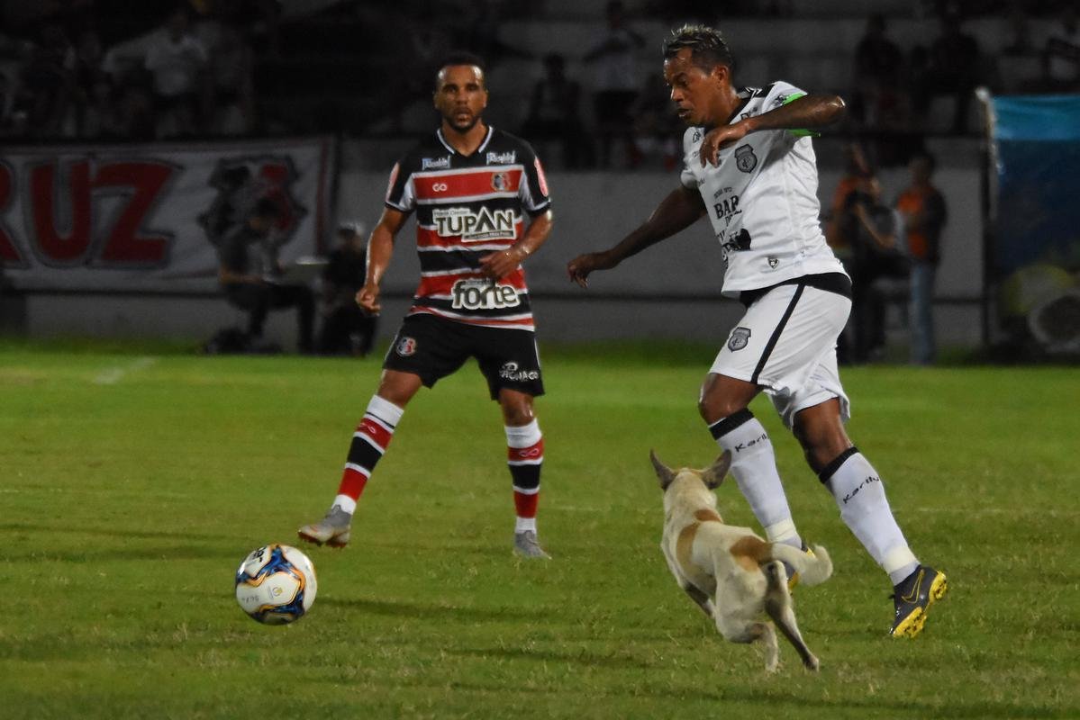 Em jogo movimentado, Santa Cruz e Treze se enfrentaram pela estreia da Série C de 2019. O time paraibano saiu à frente no primeiro tempo, com vantagem de 2 a 0 no placar. Com a virada após o intervalo, o Santa Cruz pressionou, mas o empate só viria após a invasão de um cachorro. Batizado depois de 'Pipicão', o cão foi retirado de campo pelo goleiro Anderson, e daí por diante o Santa empatou com gols de Neto Costa e Guilherme Queiroz, ambos reservas da equipe na ocasião.