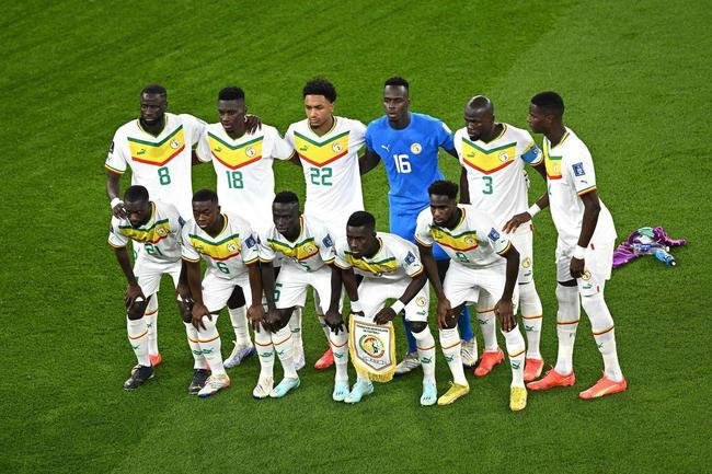 Fotos do jogo entre Senegal e Holanda no Estdio Al Thumama, pelo Grupo A da Copa do Mundo, no Catar