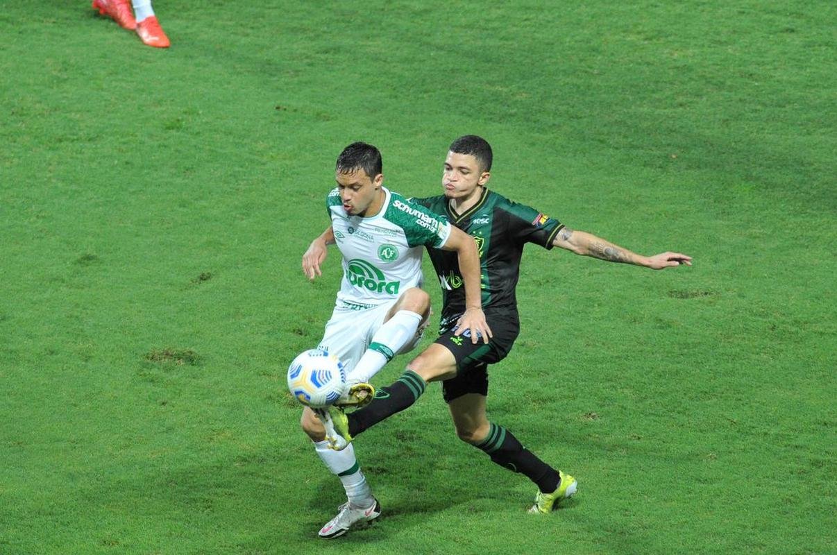 Fotos da vitria do Amrica sobre a Chapecoense, por 3 a 0, no Independncia, pela 35 rodada do Campeonato Brasileiro