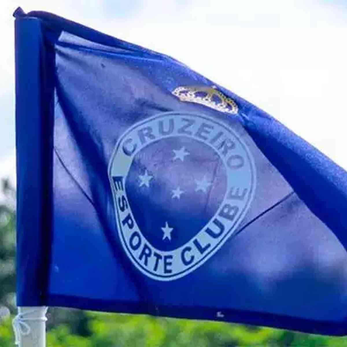 Bandeiras do cruzeiro esporte clube - Imagui