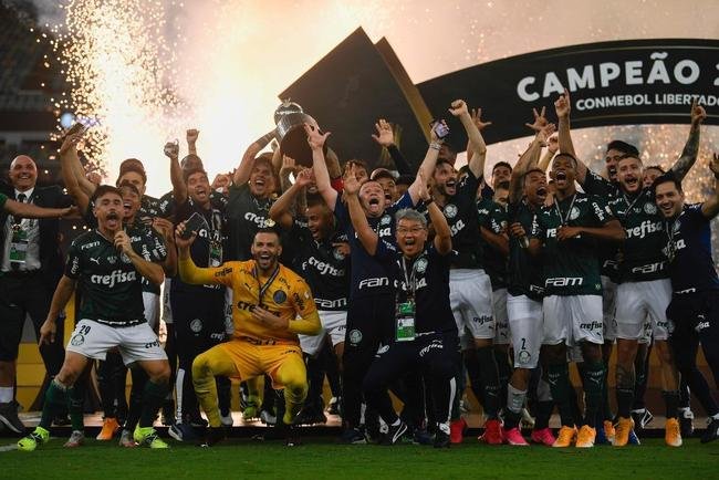 10 Palmeiras