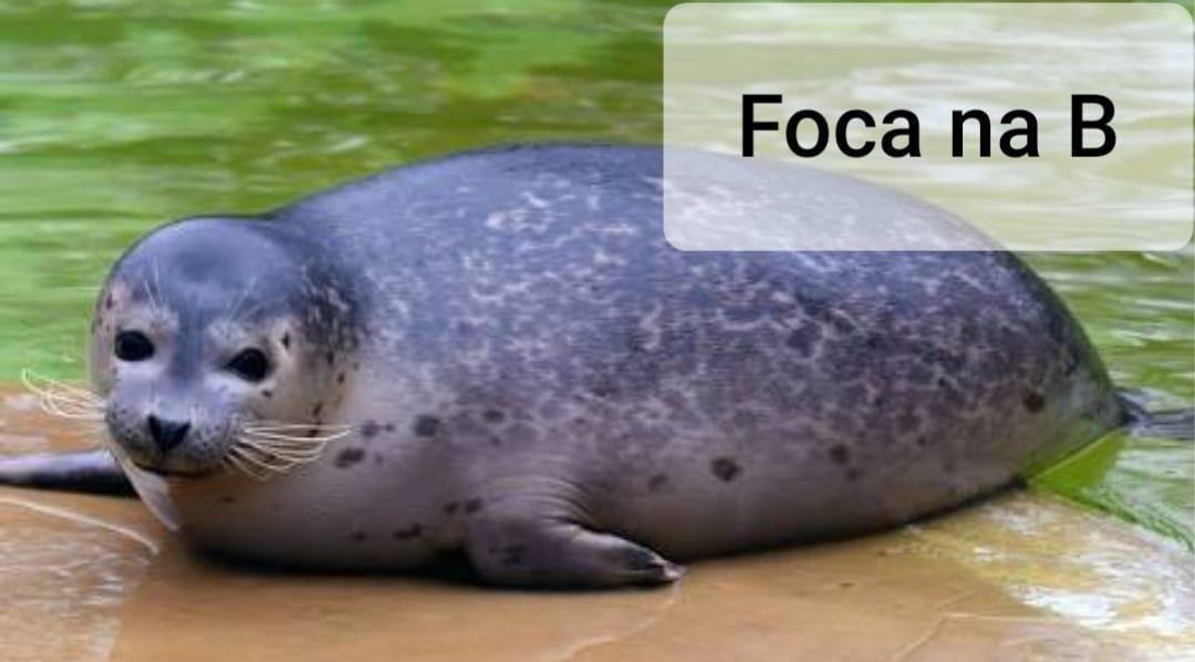 Torcida do Atltico foi s redes tirar sarro com derrota do Cruzeiro para o CRB na Copa do Brasil