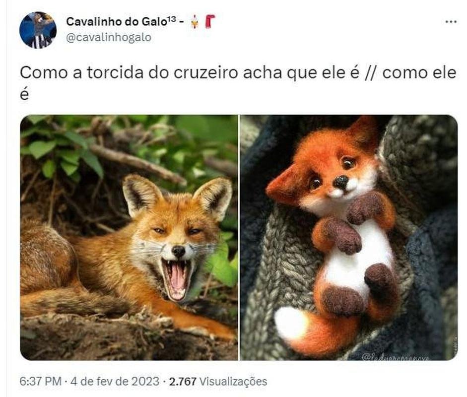 Memes compartilhados por torcedores aps Amrica 1 x 0 Cruzeiro